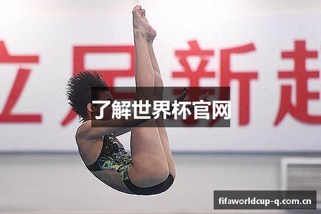 了解世界杯官网